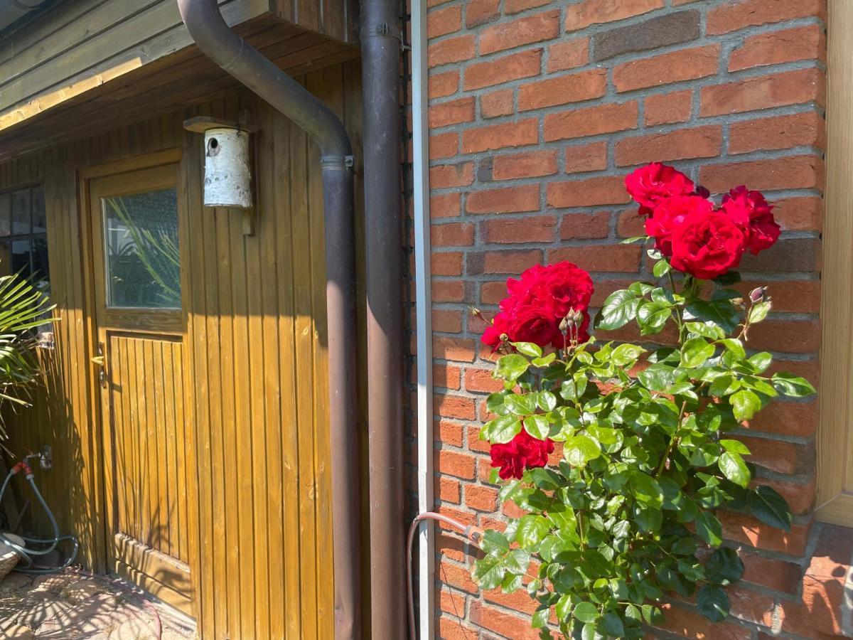 Apartament Urlaub Zwischen Den Meeren Schafflund Zewnętrze zdjęcie
